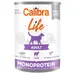 Calibra Dog Life Adult, jagnięcina, 12 x 400 g