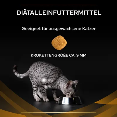 Diätalleinfuttermittel, geeignet für ausgewachsene Katzen. Krokettengrösse ca. 9 mm. Katze frisst aus einem Napf.