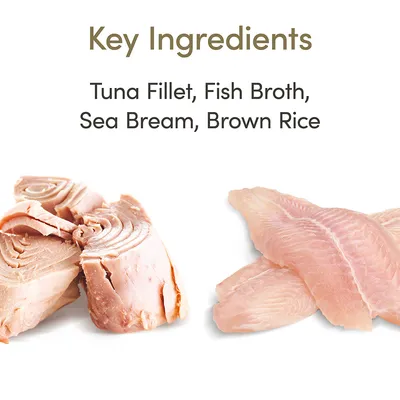 Teksti englanniksi: Key Ingredients. Tuna Fillet, Fish Broth, Sea Bream, Brown Rice. Kuvassa tonnikalafileetä ja vaaleaa kalafileetä valkoisella taustalla.