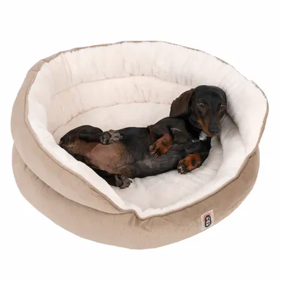 Hund liegt entspannt in einem beigen, gepolsterten Hundebett mit weicher weisser Innenfläche und sichtbarem Markenlogo Trixie.