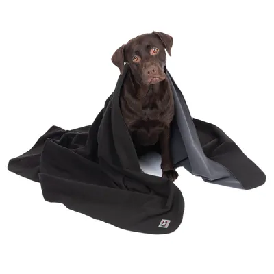 Brauner Hund sitzt in einer schwarzen und grauen Decke mit sichtbarem Logo. Produkt zeigt eine mögliche Verwendung der Decke.