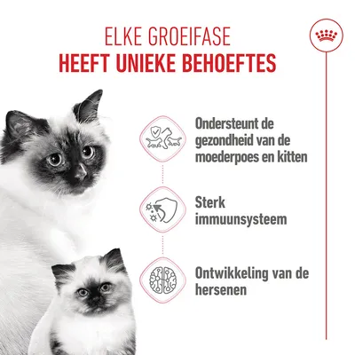 Royal Canin Mother & Babycat