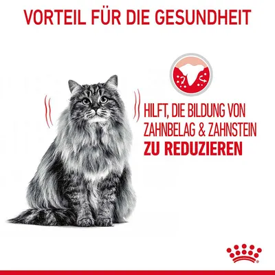 Texte en allemand : Vorteil für die Gesundheit. Hilft, die Bildung von Zahnbelag & Zahnstein zu reduzieren. Illustration d’une dent et photo d’un chat à poils longs.