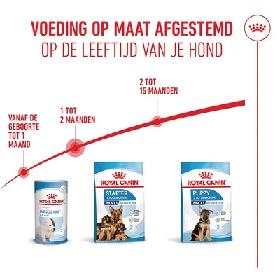 Royal Canin Maxi Starter Mother & Babydog Hondenvoer Royal Canin Maxi Starter Mother & Babydog Hondenvoer