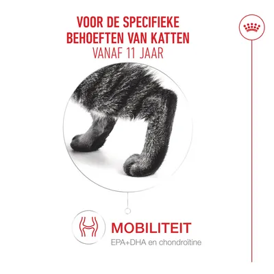 Voor de specifieke behoeften van katten vanaf 11 jaar. Mobiliteit met EPA+DHA en chondroïtine. Voor de specifieke behoeften van katten vanaf 11 jaar. Mobiliteit met EPA+DHA en chondroïtine.