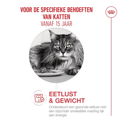 Voor de specifieke behoeften van katten vanaf 15 jaar. Eetlust & Gewicht: Ondersteunt een gezonde eetlust met smakelijk, energierijk voer. Voor de specifieke behoeften van katten vanaf 15 jaar. Eetlust & Gewicht: Ondersteunt een gezonde eetlust met smakelijk, energierijk voer.