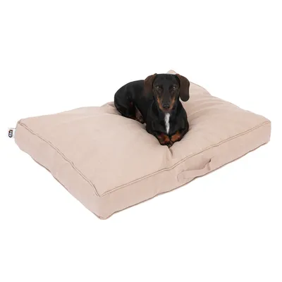 Hund liegt auf einem beigen Hundekissen mit Tragegriff. Kissen aus Stoffmaterial, rechteckige Form.