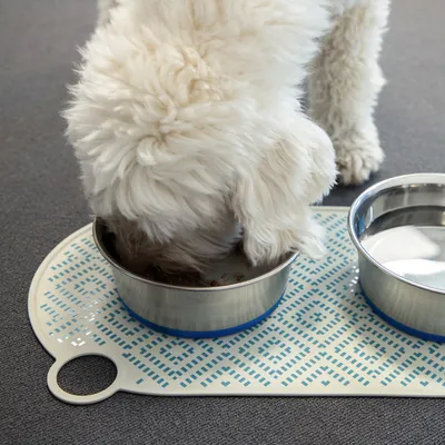 Hund frisst aus Edelstahlnapf, daneben zweiter Napf mit Wasser auf gemusterter Unterlage