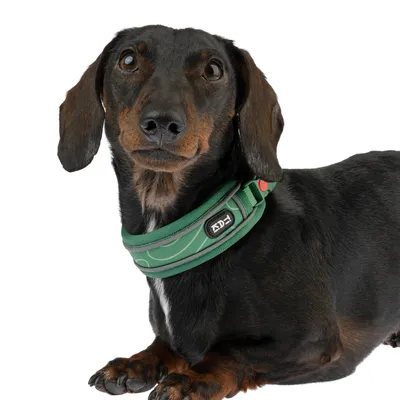 Grönt hundhalsband med reflekterande mönster och svart logotryck 'ADC'.