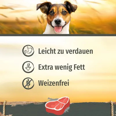 Легкоусвояемый, с пониженным содержанием жира, без пшеницы. Видны символы пищеварения, жира и отсутствия пшеницы.