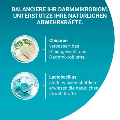 Balance Ihres Darmmikrobioms mit Chicorée zur Verbesserung des Gleichgewichts und Lactobacillus zur Stärkung der natürlichen Abwehrkräfte.