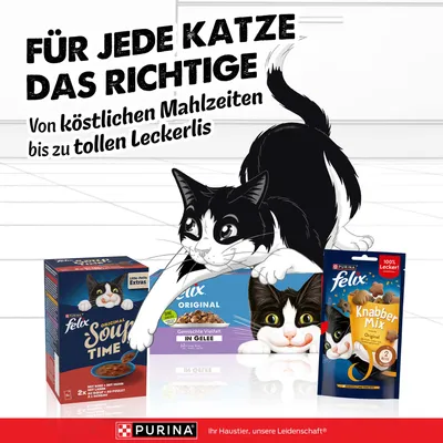 Pour chaque chat, ce qu’il y a de mieux : des repas savoureux aux délicieuses friandises. Felix Original Soup Time, assortiment mixte en gelée, Knabber Mix. Purina.