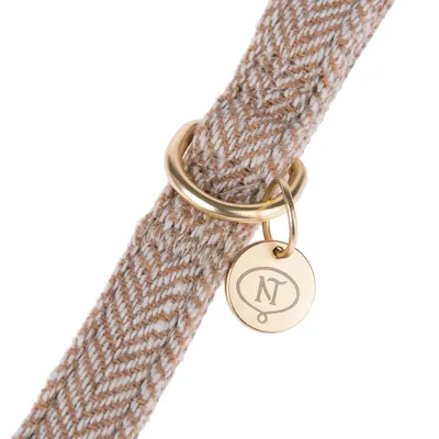 Close-up of a beige and white patterned collar with gold-coloured ring and pendant engraved with 'NT'.
