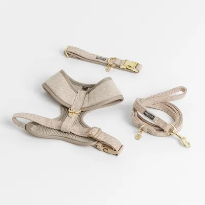Beige hundesele-sæt med line og halsbånd, gyldne spænder, vævet mønster, åndbart materiale.
