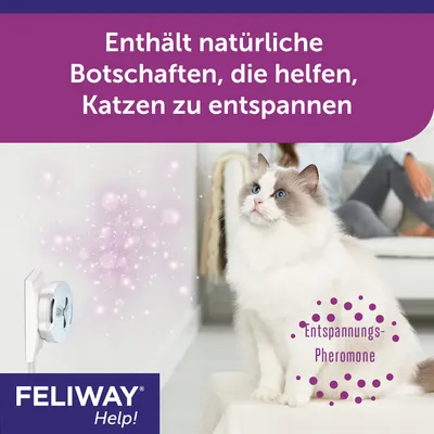 Feliway Help! Enthält natürliche Botschaften, die helfen, Katzen zu entspannen. Entspannungs-Pheromone sichtbar neben einer Katze und einem Steckdosen-Diffusor.