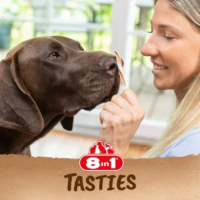 Cane annusa uno snack di 8in1 Tasties. Logo del marchio e nome del prodotto visibili.