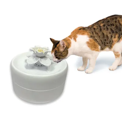 Katt dricker från vit vattenfontän i plast med blomformad topp. Både fontänen och katten är tydligt synliga mot vit bakgrund.