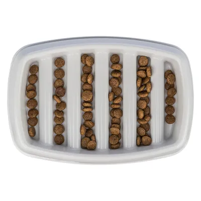 White feeding bowl with vertical grooves, filled with brown dry food pieces, for slow feeding.