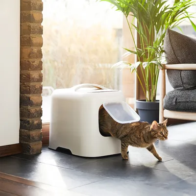 Cat litter box with white housing and transparent flap, cat leaving the box. Suitable for indoor use.