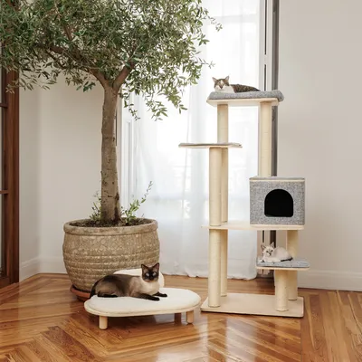 Cat tree with multiple levels, cave and resting areas made of light wood and grey fabric. Two cats use the platforms.