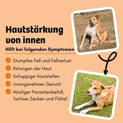 Hautstärkung von innen. Hilft bei stumpfem Fell, Fellverlust, Hautrötungen, schuppigen Hautstellen, unangenehmem Geruch und häufigem Parasitenbefall. Tschüss Zecken und Flöhe!