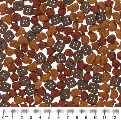 Nahaufnahme von Trockenfutter in verschiedenen Formen und Farben mit Massstab in Zentimetern am unteren Bildrand.