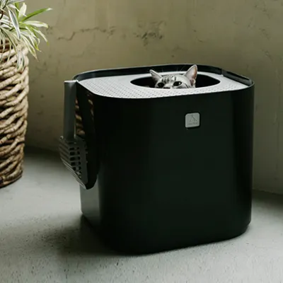 Kattenbak met bovenin een opening, grijze kat kijkt eruit. Zwarte kunststof bak met schepje aan de zijkant bevestigd.