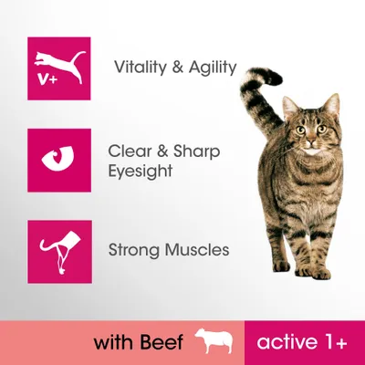 Vitality & Agility, Clear & Sharp Eyesight, Strong Muscles. with Beef. active 1+. Tabby cat shown right side.