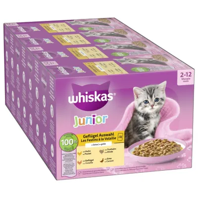 Whiskas Junior 12 x 85 g pour chaton