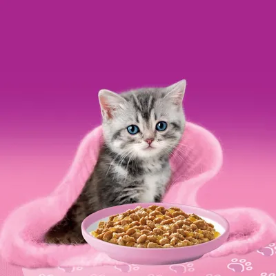 Whiskas Junior tasakos 12 x 85 g Whiskas Junior tasakos 12 x 85 g