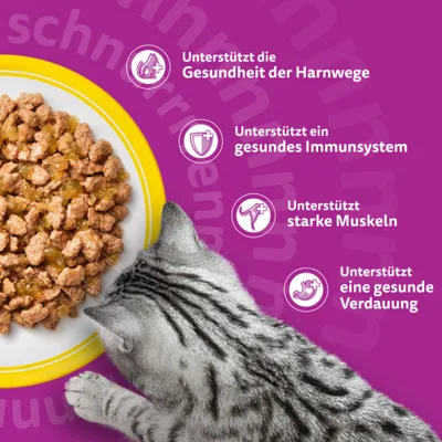 Jumbopack Whiskas Senior Frischebeutel 144 x 85 g