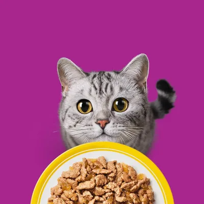 Jumbopack Whiskas Senior saszetki 144 x 85 g