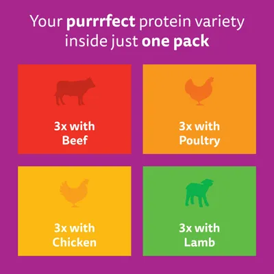 Whiskas 1+ Meaty Meals in Gravy