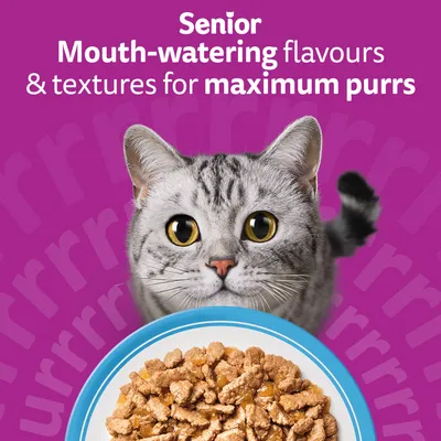 Whiskas 7+ Senior Pouches in Jelly - Fish Favourites in Jelly (48 x 85g) Whiskas 7+ Senior Pouches in Jelly - Fish Favourites in Jelly (48 x 85g)