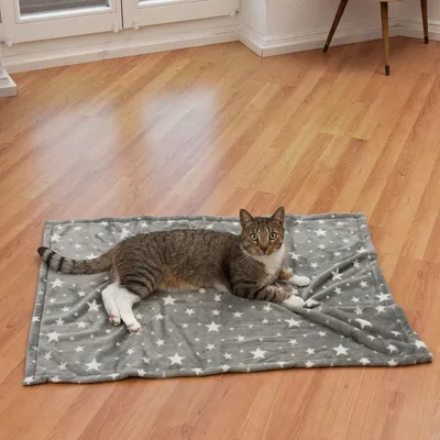 Γκρι κουβέρτα με λευκά αστέρια σε ξύλινο δάπεδο, πάνω της ξαπλωμένη μια τιγρέ γάτα. Ορατό προϊόν για χρήση ως κουβέρτα κατοικίδιου.