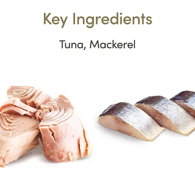 Teksti: Key Ingredients. Tuna, Mackerel. Kuvassa tonnikalapaloja ja makrilliviipaleita. Teksti englanniksi.