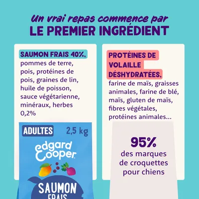 Edgard Cooper croquettes pour chiens adultes, 2,5 kg. Ingrédients principaux : saumon frais 40 %, pommes de terre, pois, graines de lin, huile de poisson, herbes 0,2 %. Remarque : 95 % des marques utilisent de la farine animale.