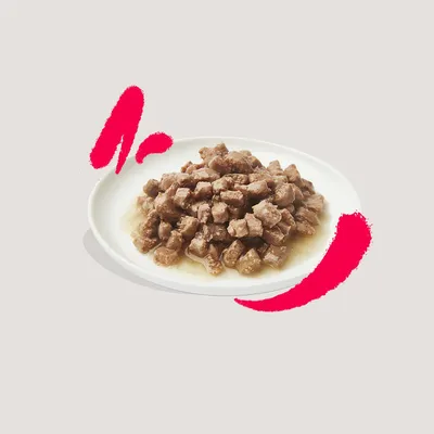 Assiette blanche contenant des morceaux de nourriture humide en sauce pour animaux, présentés sur fond uni avec touches décoratives rouges.