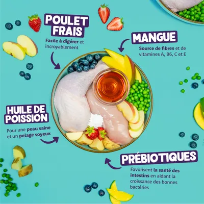 Description du produit : poulet frais, facile à digérer. Mangue, source de vitamines A, B6, C et E. Huile de poisson pour une peau saine et un pelage brillant. Prébiotiques pour la santé intestinale.