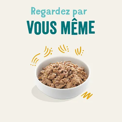 Texte : Regardez par VOUS MÊME. Bol blanc rempli de nourriture humide pour animaux, présenté sur fond clair avec des éléments graphiques jaunes autour du bol.