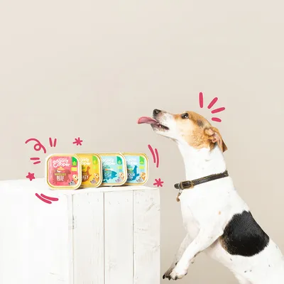 Hond naast vier Edgard & Cooper hondenvoerbakjes: Beef, Turkey, Fish en Chicken. Verpakkingen met duidelijke productnamen zichtbaar op een witte tafel.