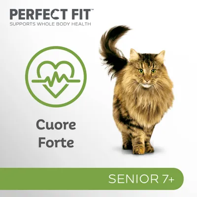Perfect Fit Supports Whole Body Health, Cuore Forte, SENIOR 7+, immagine di un gatto a pelo lungo marrone e nero.