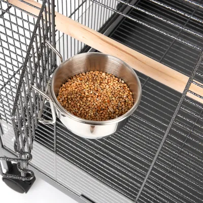 Cage à oiseaux avec gamelle en acier inoxydable remplie de graines et perchoir en bois.