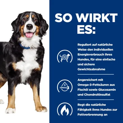 So wirkt es: Reguliert den Energieverbrauch des Hundes für sichere Gewichtsabnahme, angereichert mit Omega-3-Fettsäuren, regt natürliche Fettverbrennung an.