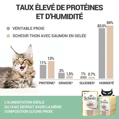 Graphique comparatif protéines, graisses, glucides et humidité : véritable proie vs Schesir thon avec saumon en gelée. Paquets Schesir visibles. Texte : alimentation idéale du chat.