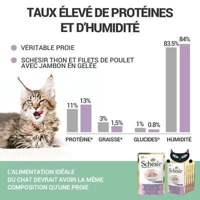 Comparatif protéines, graisses, glucides et humidité : véritable proie vs Schesir thon et filets de poulet avec jambon en gelée. Protéines 13 %, humidité 84 %. Paquets Schesir visibles.
