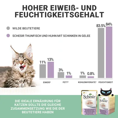 Hoher Eiweiss- und Feuchtigkeitsgehalt. Vergleich: Wilde Beutetiere vs. Schesir Thunfisch und Huhn mit Schinken in Gelee. Ideale Ernährung für Katzen wie Zusammensetzung der Beutetiere.