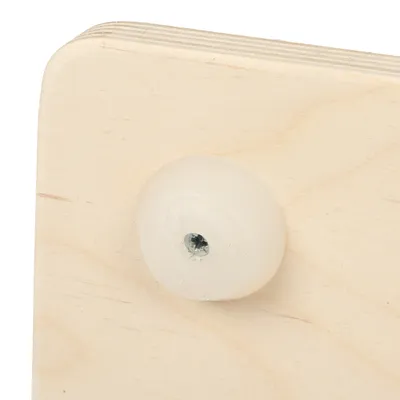 Detailní záběr na dřevěnou desku s bílým plastovým knoflíkem a šroubem k upevnění.