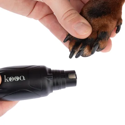 kooa Nagelpflegegerät für Haustiere, gezeigt mit einer Hundepfote. Hand hält Pfote zur Demonstration der Anwendung.