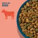 Perfect Fit Adult 1+ Reich an Rind
